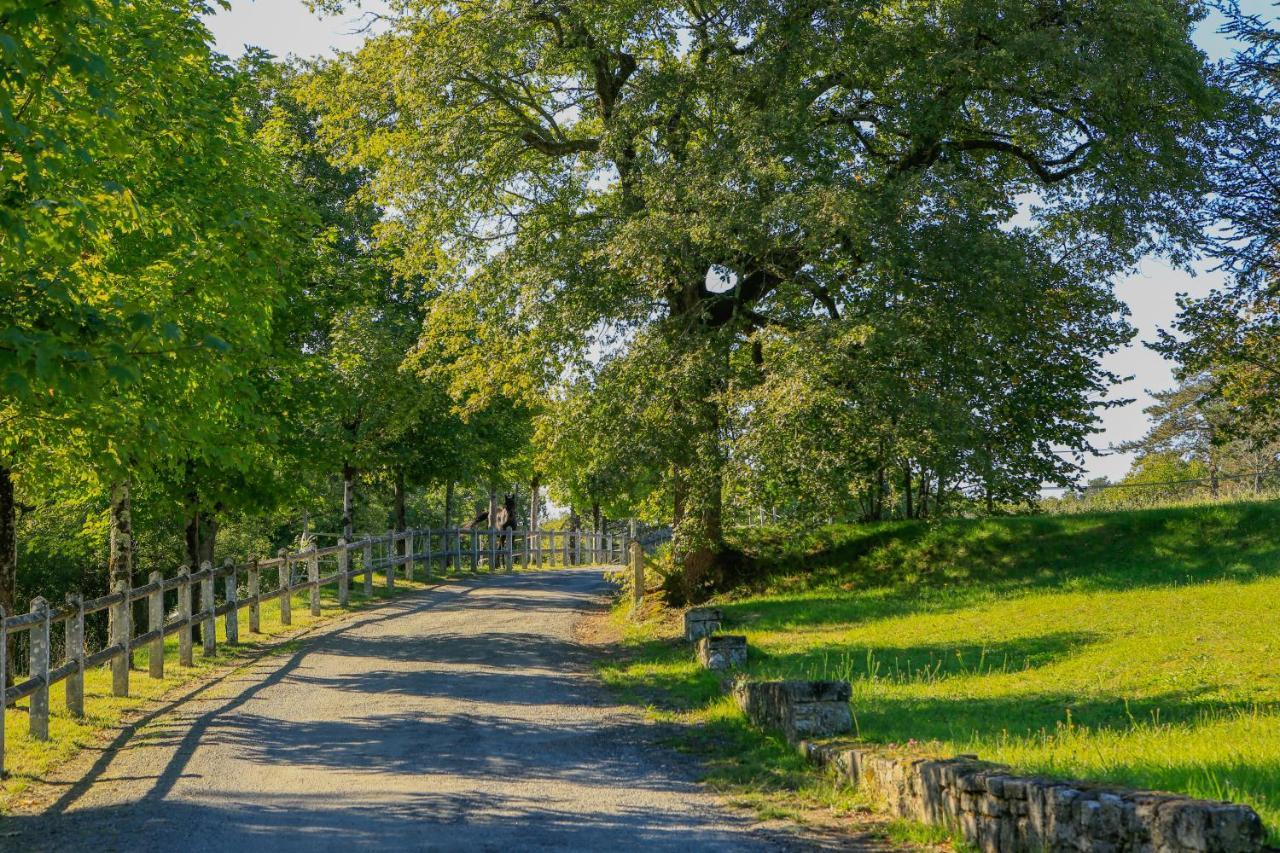 Logis Hotels Domaine Du Chatelard Dirac Kültér fotó