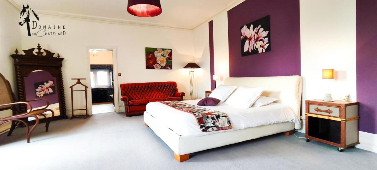Logis Hotels Domaine Du Chatelard Dirac Kültér fotó